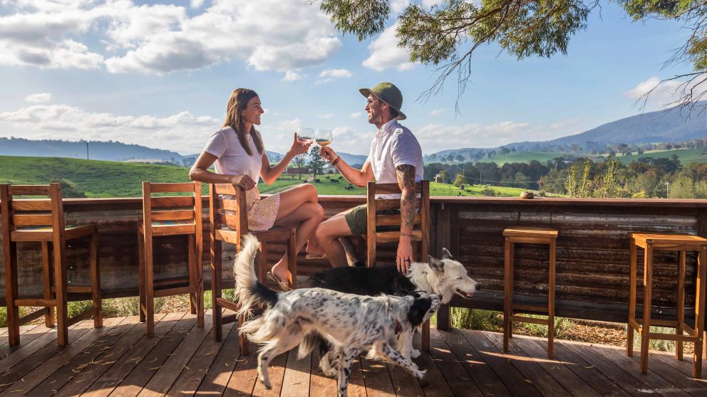 Bega, South Coast things to do & more Visit NSW